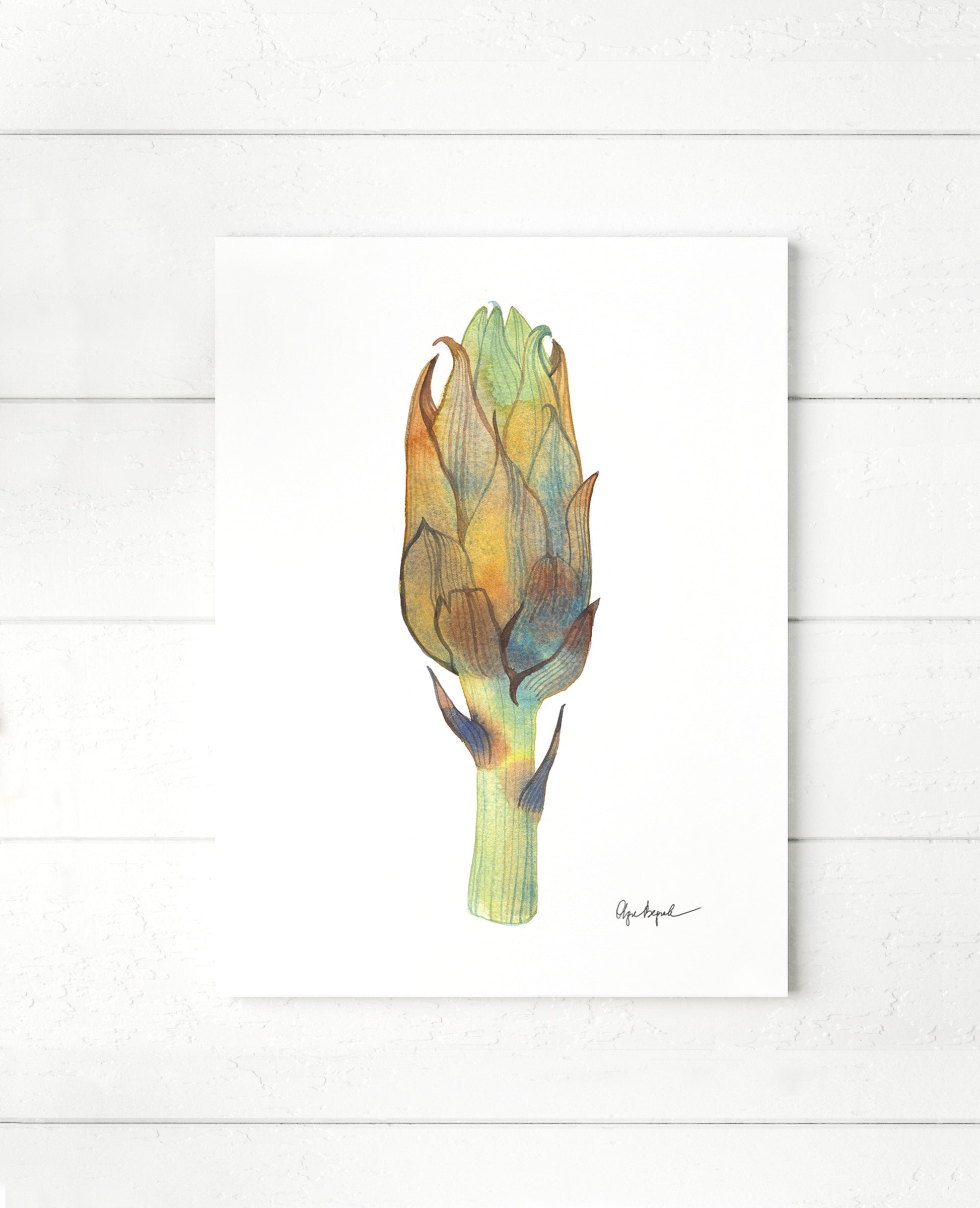 ARTICHOKE original watercolor painting by Olga Begak