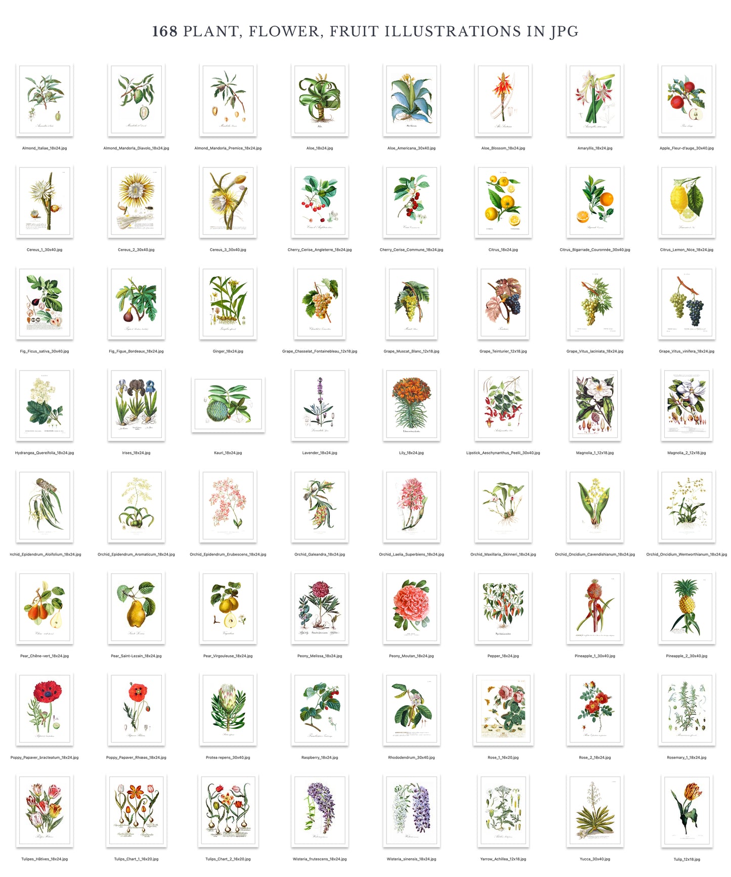 VINTAGE BOTANICAL PRINTS & DIY ELEMENTS