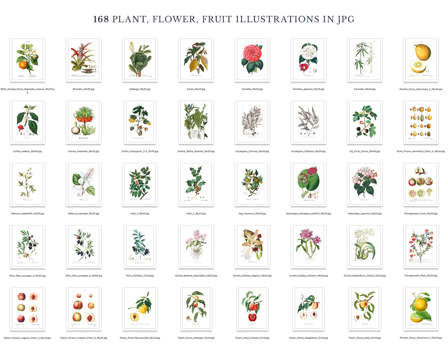 VINTAGE BOTANICAL PRINTS & DIY ELEMENTS