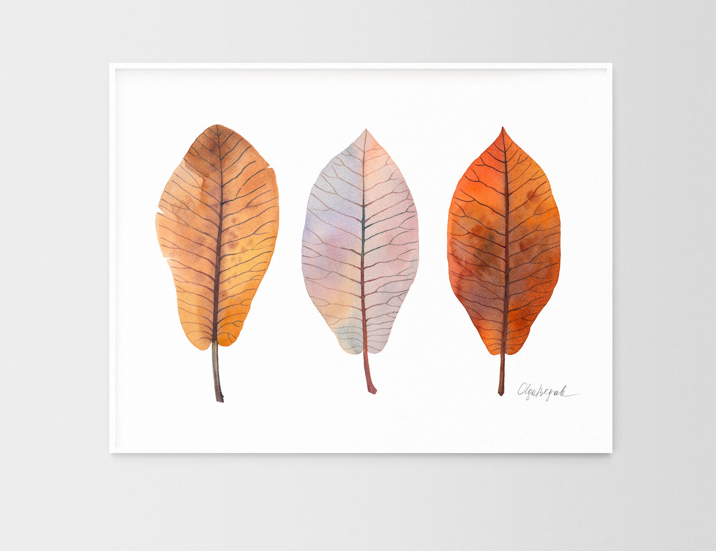 Fine art print of BIGLEAF MAGNOLIA LEAVES watercolor painting by Olga Begak