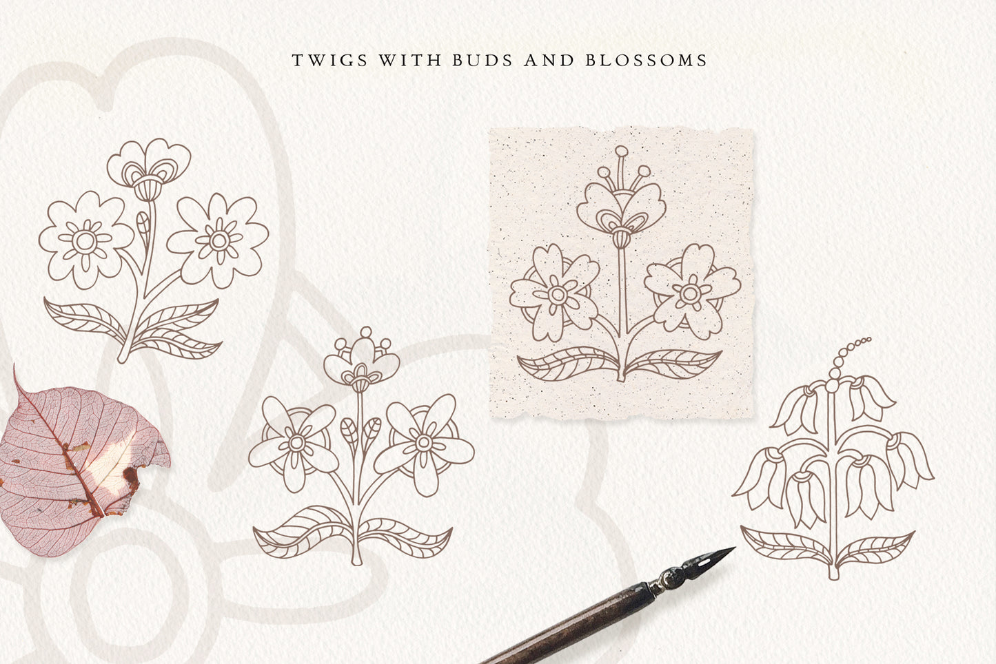 BOTANY Line Art Graphic Collection