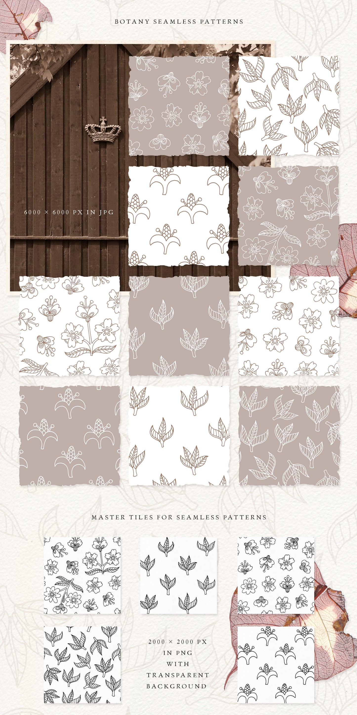 BOTANY Line Art Graphic Collection