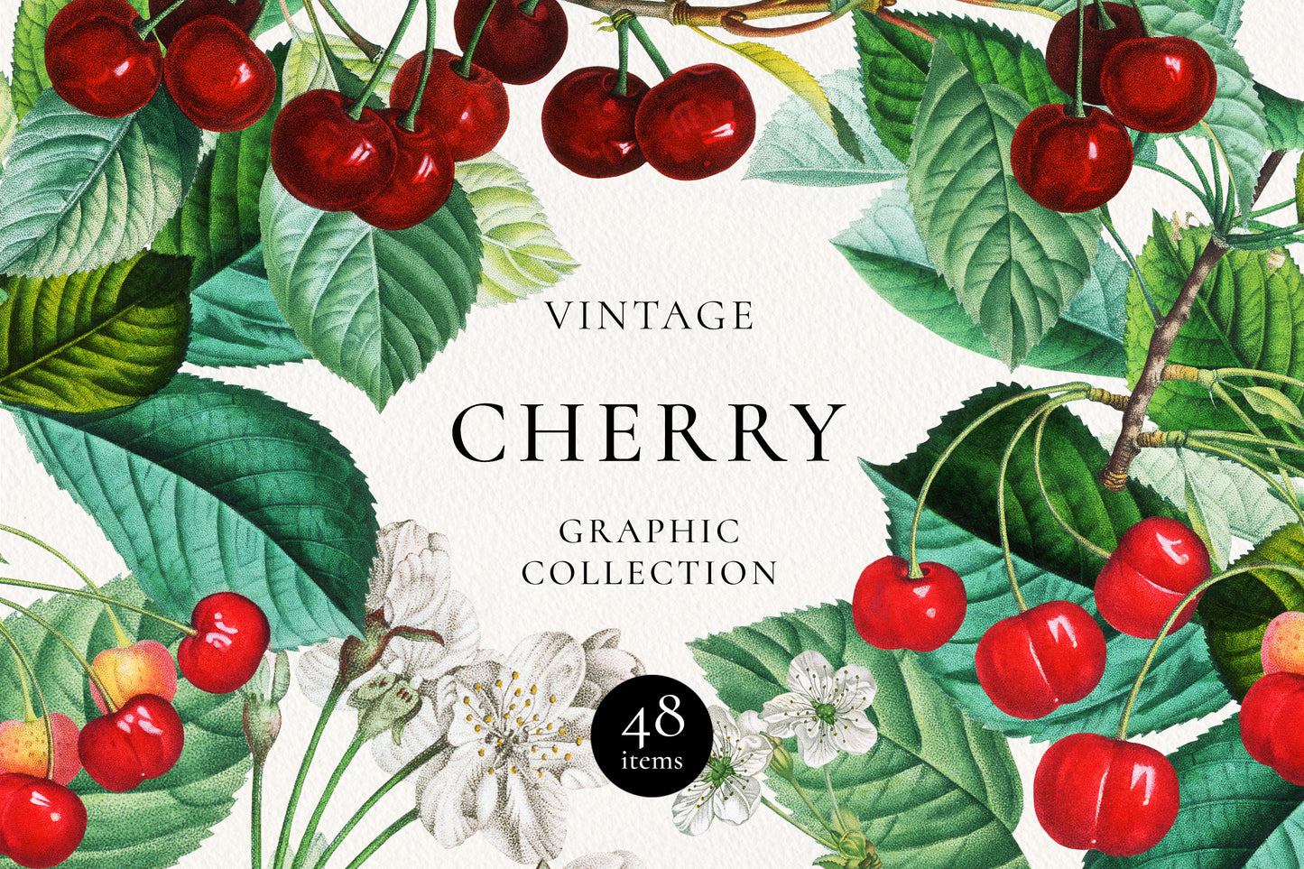 VINTAGE CHERRY Grafikkollektion