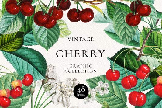 VINTAGE CHERRY Graphic Collection