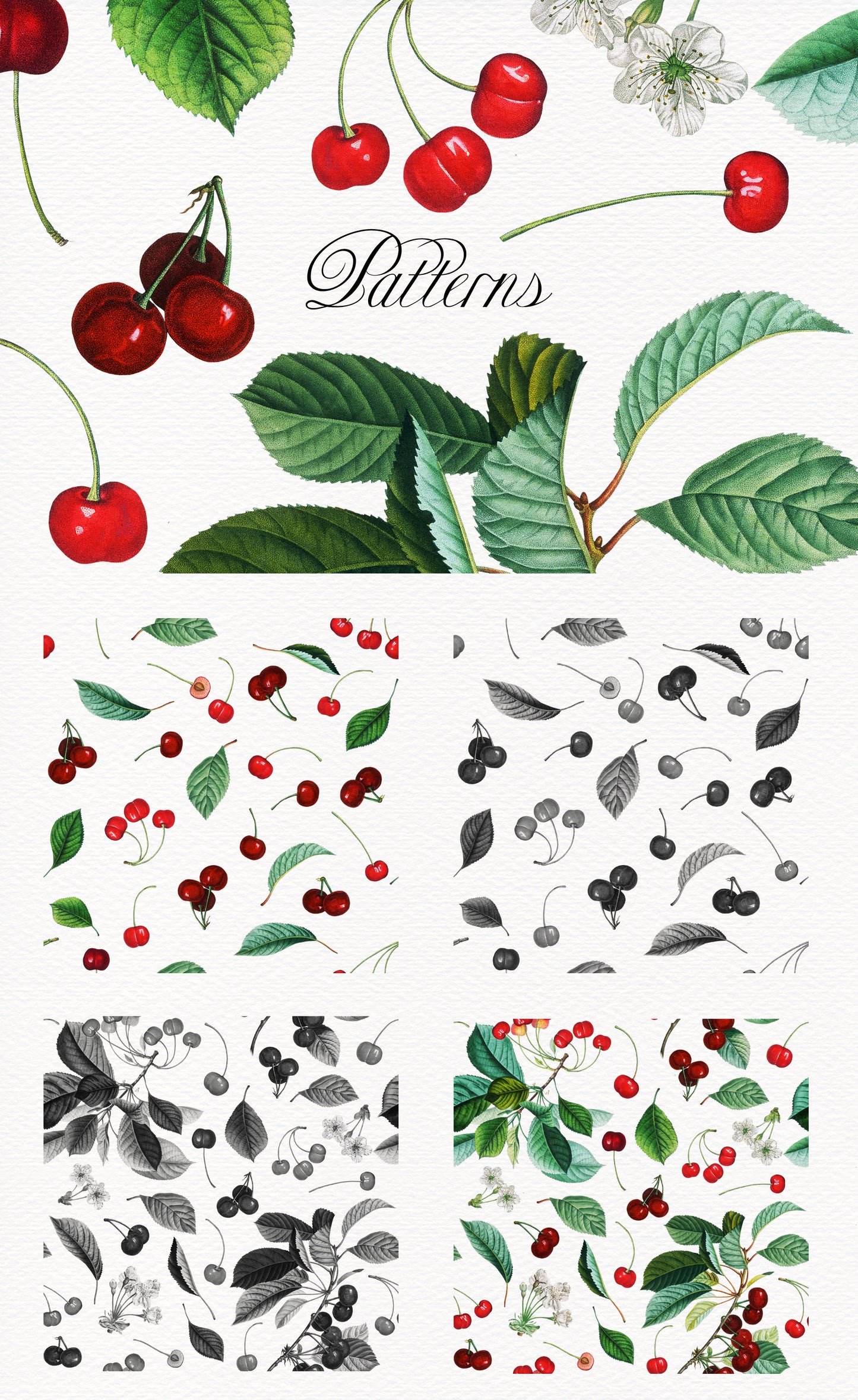 VINTAGE CHERRY Grafikkollektion