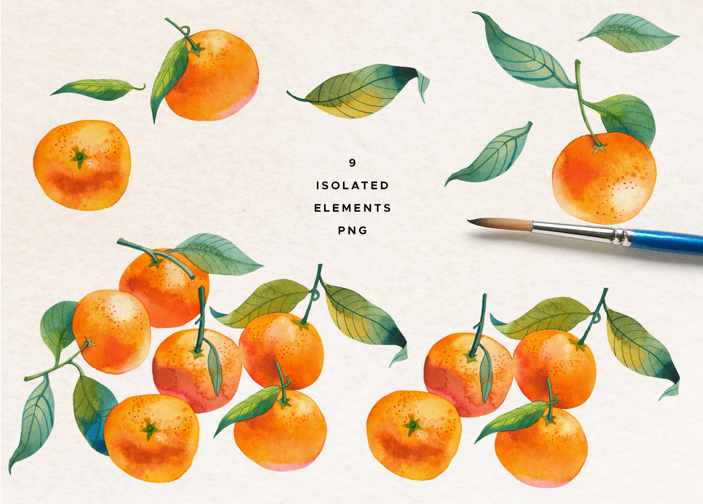 Aquarell Obst & Gemüse Grafikpaket