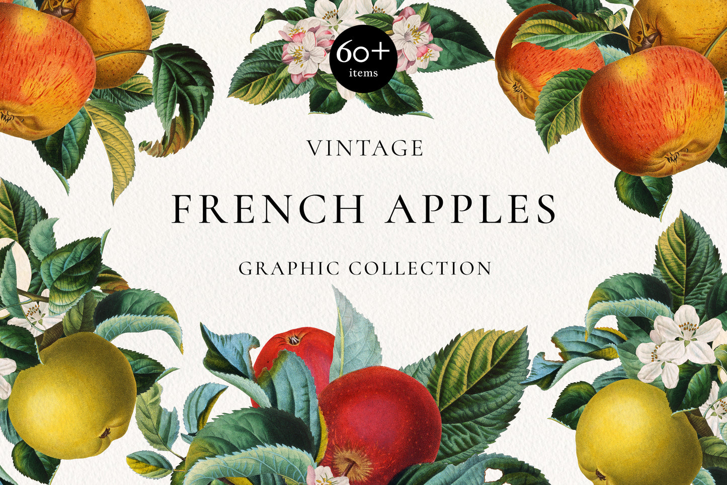 VINTAGE BOTANICAL Graphics Bundle