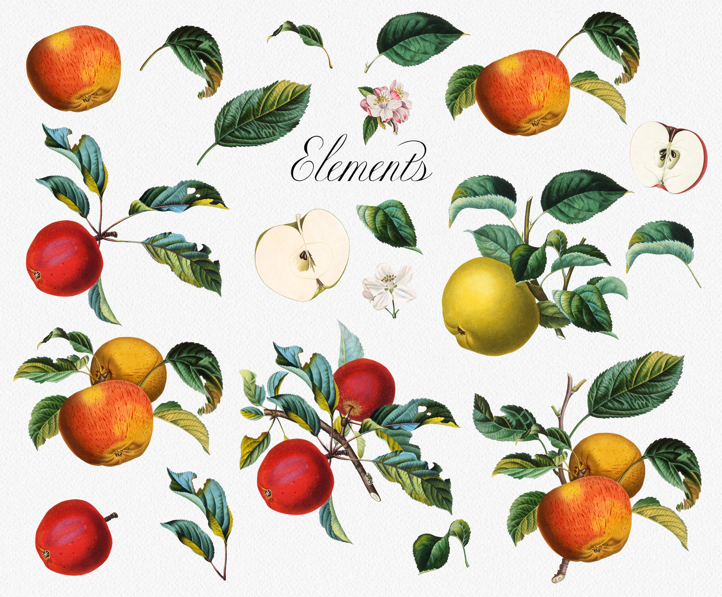 VINTAGE APPLE Grafikkollektion