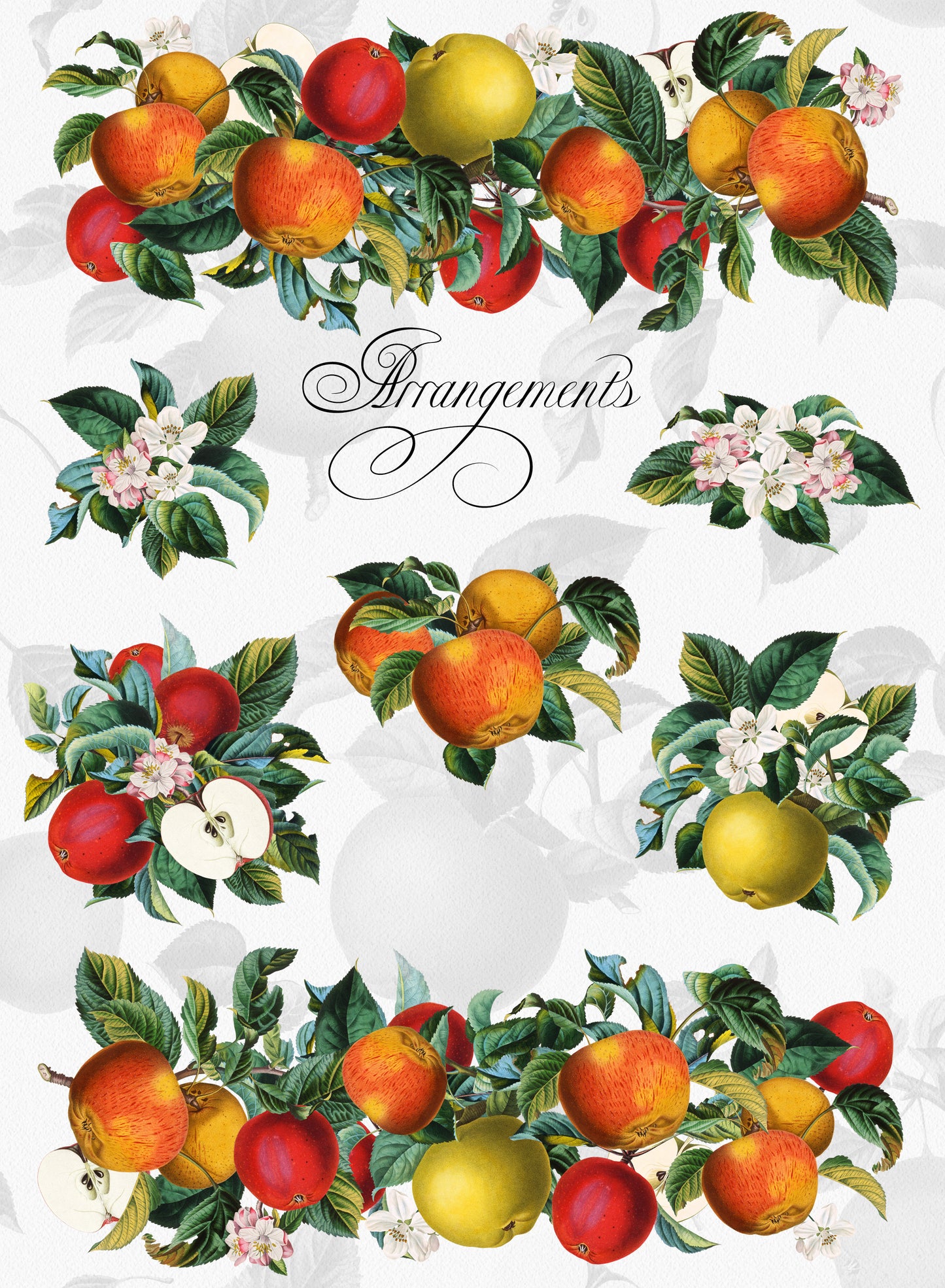 VINTAGE APPLE Grafikkollektion