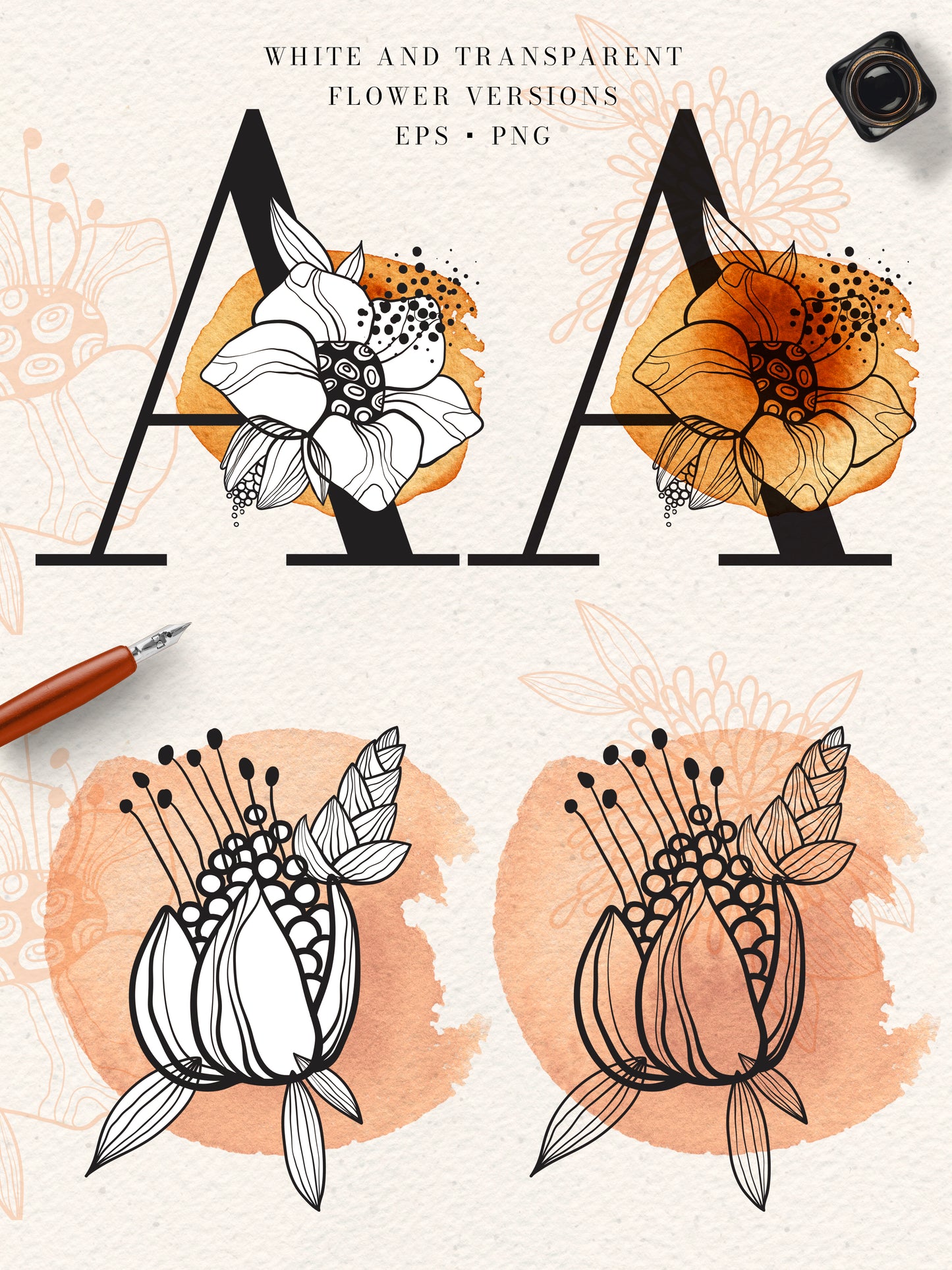 FINE LINE Graphic Collection