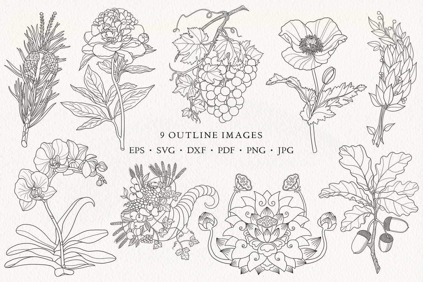 LINE ART & SOLID Vector Illustration Bundle