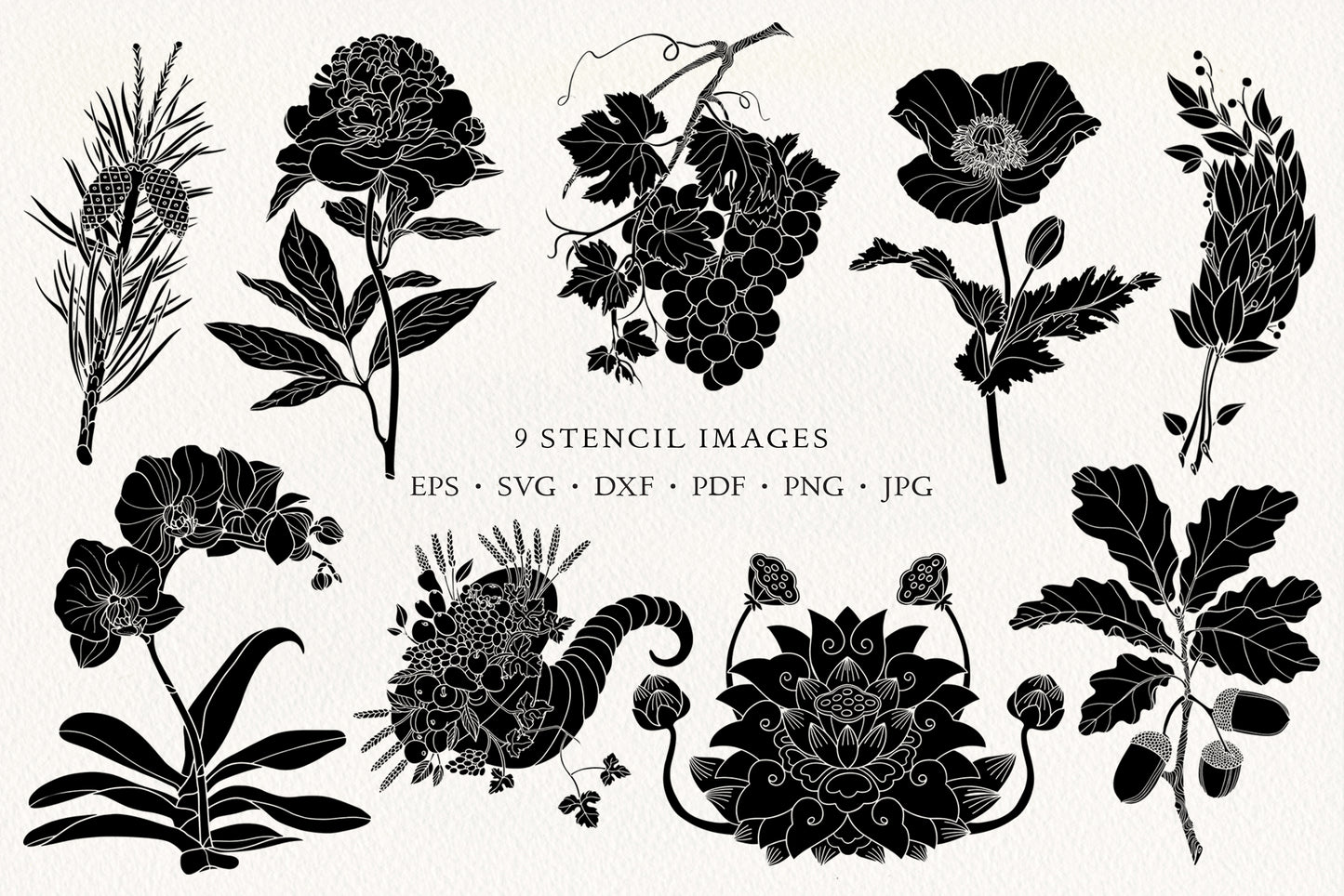 LINE ART & SOLID Vector Illustration Bundle