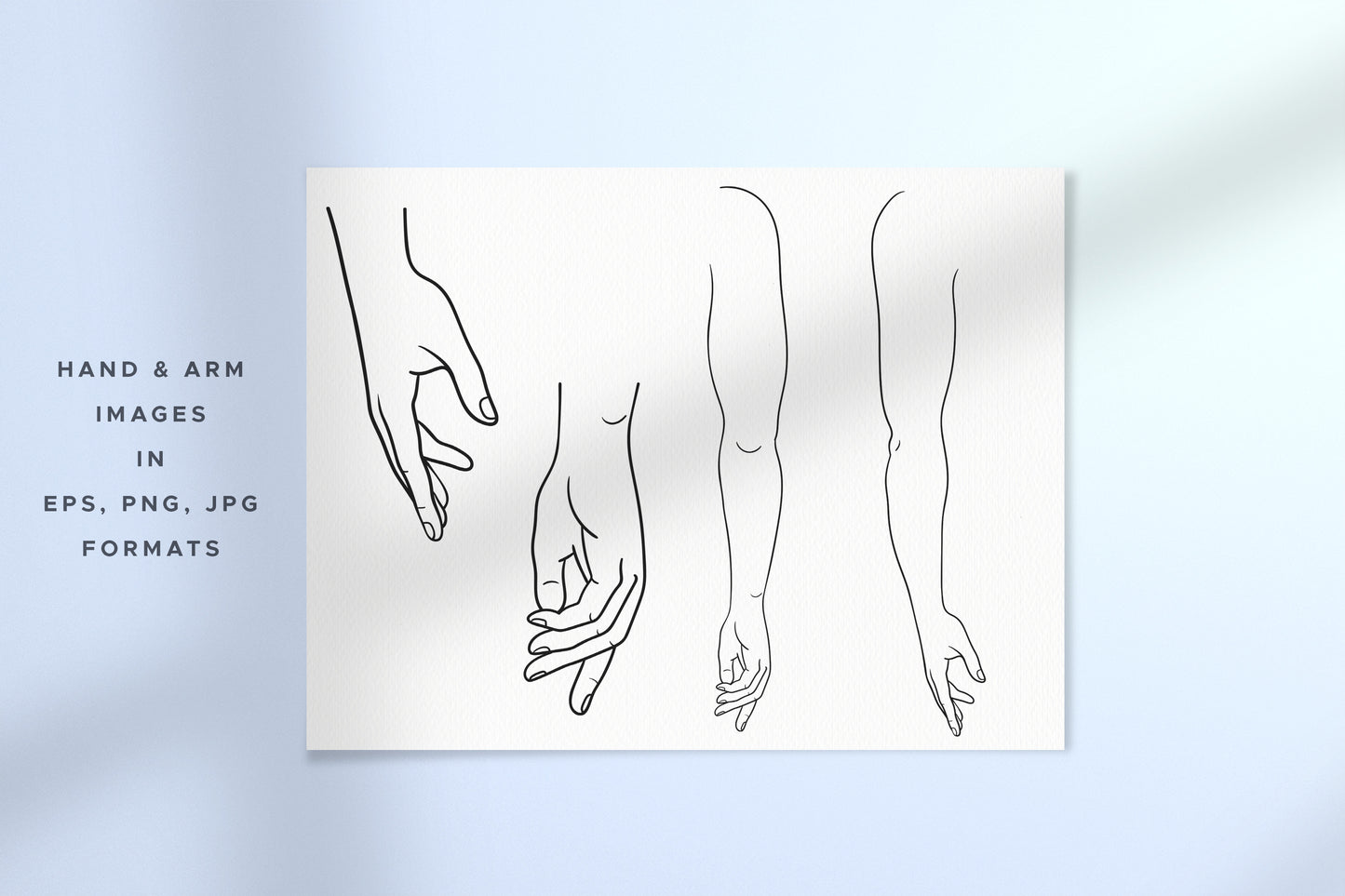 HUMAN BODY & PARTS Line Art Graphic Collection