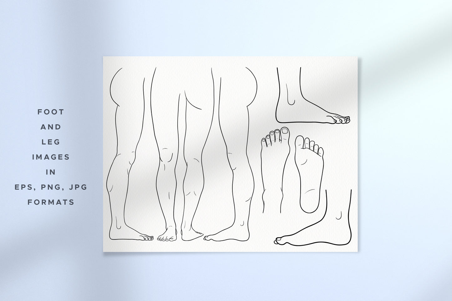 HUMAN BODY & PARTS Line Art Graphic Collection