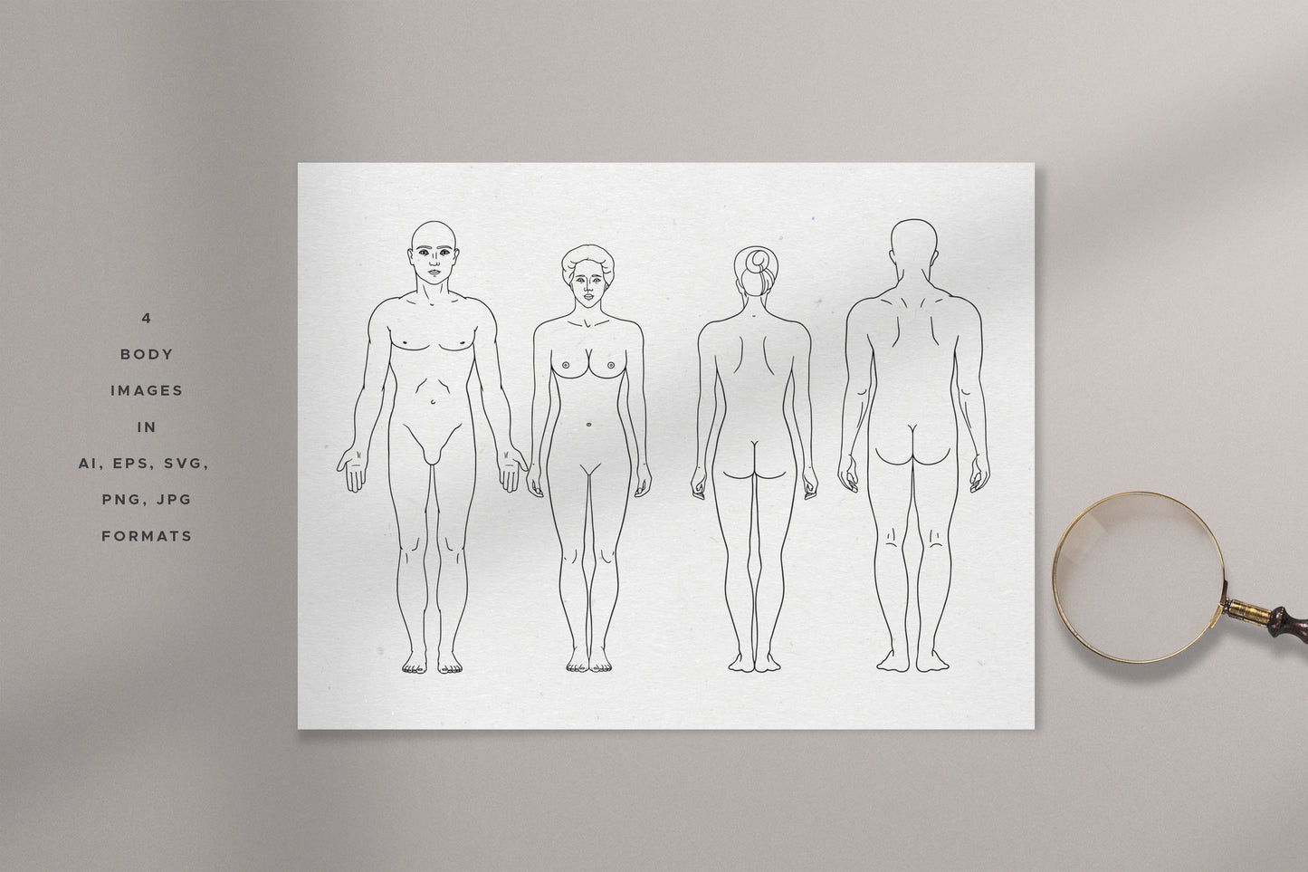 HUMAN BODY & PARTS Line Art Graphic Collection