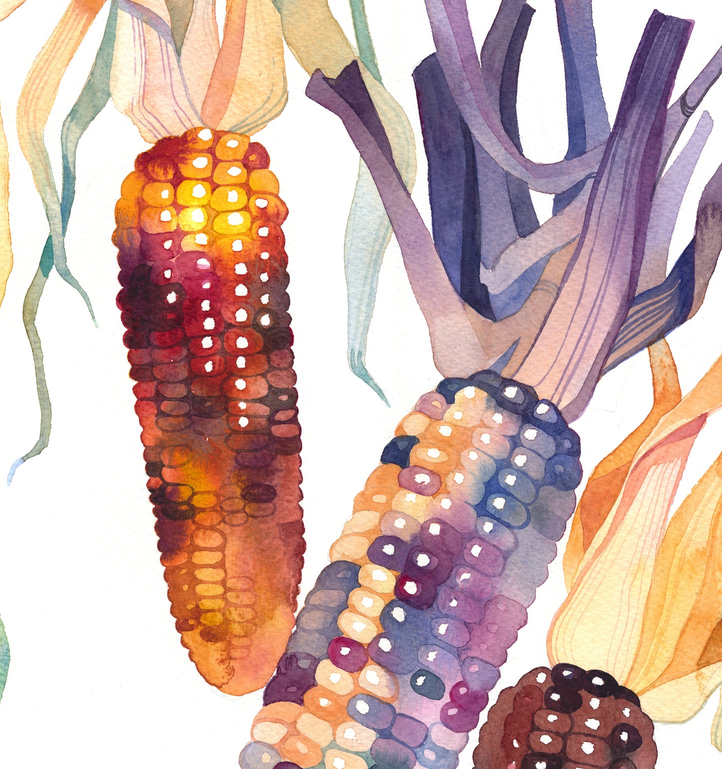 INDIAN CORN Watercolor Painting Giclée Print #W01