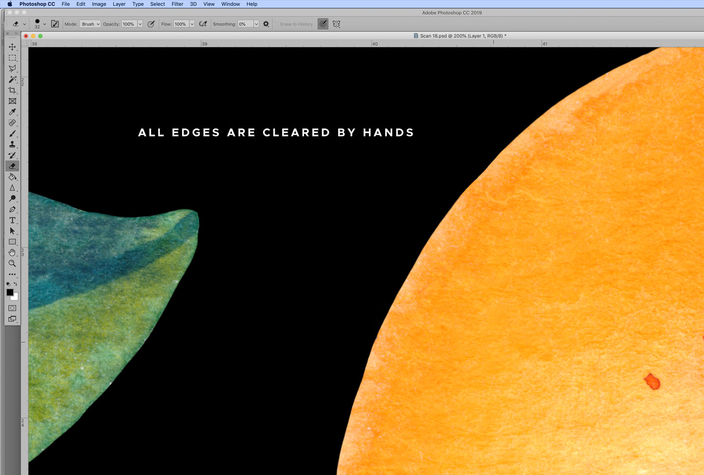 Mandarin Watercolor Botanical Graphic Collection-02 • Hand-Painted Tangerine Fruits & Leaves