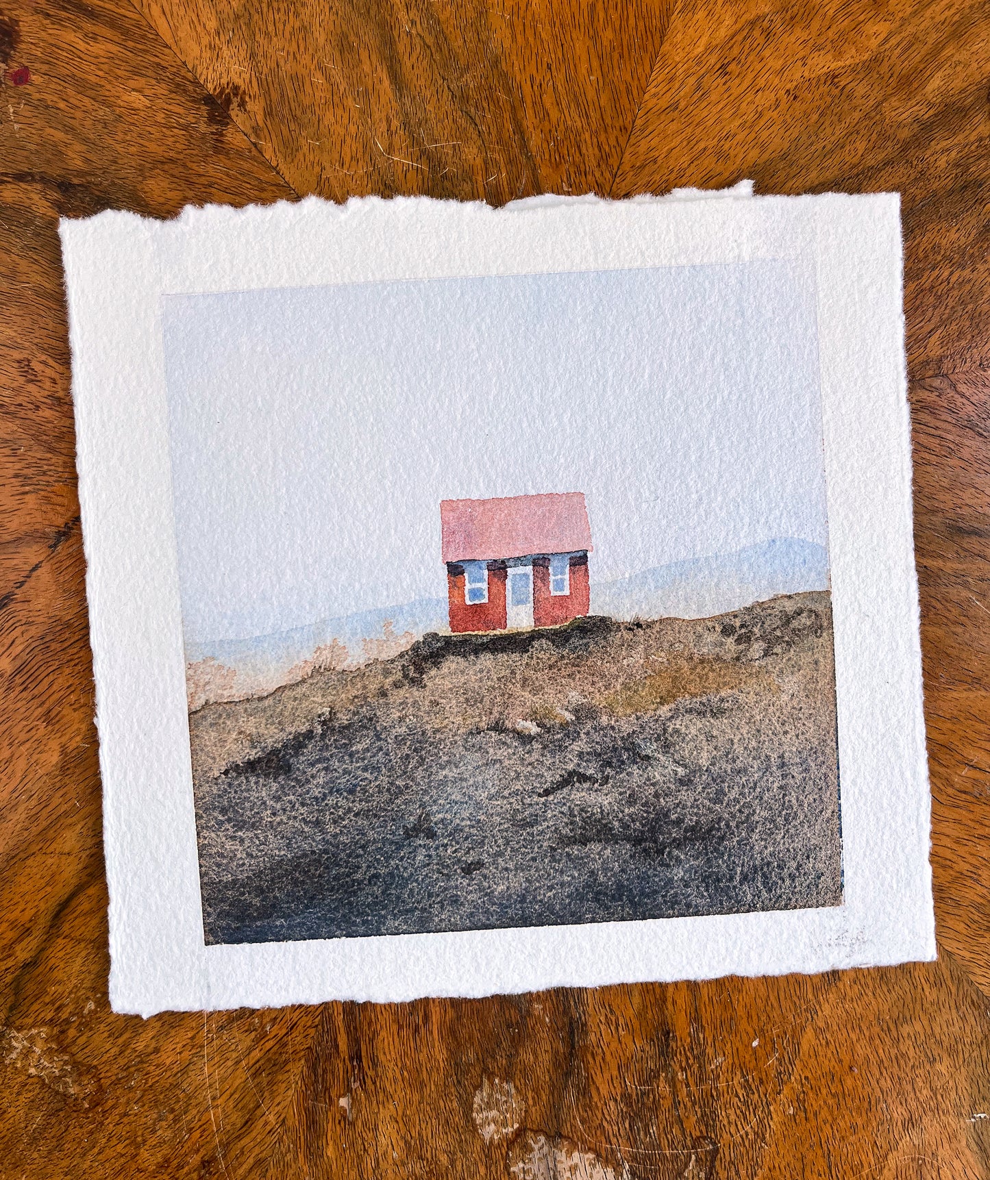 ROSA KÖNIG PROTEA Original Aquarell