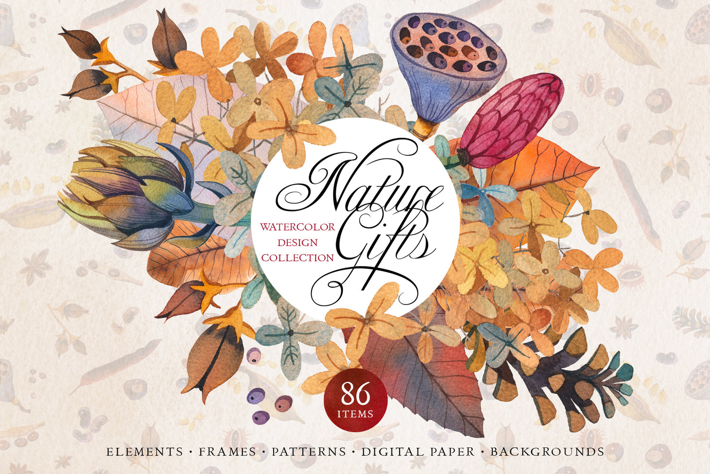 NATURE GIFTS Graphic Collection