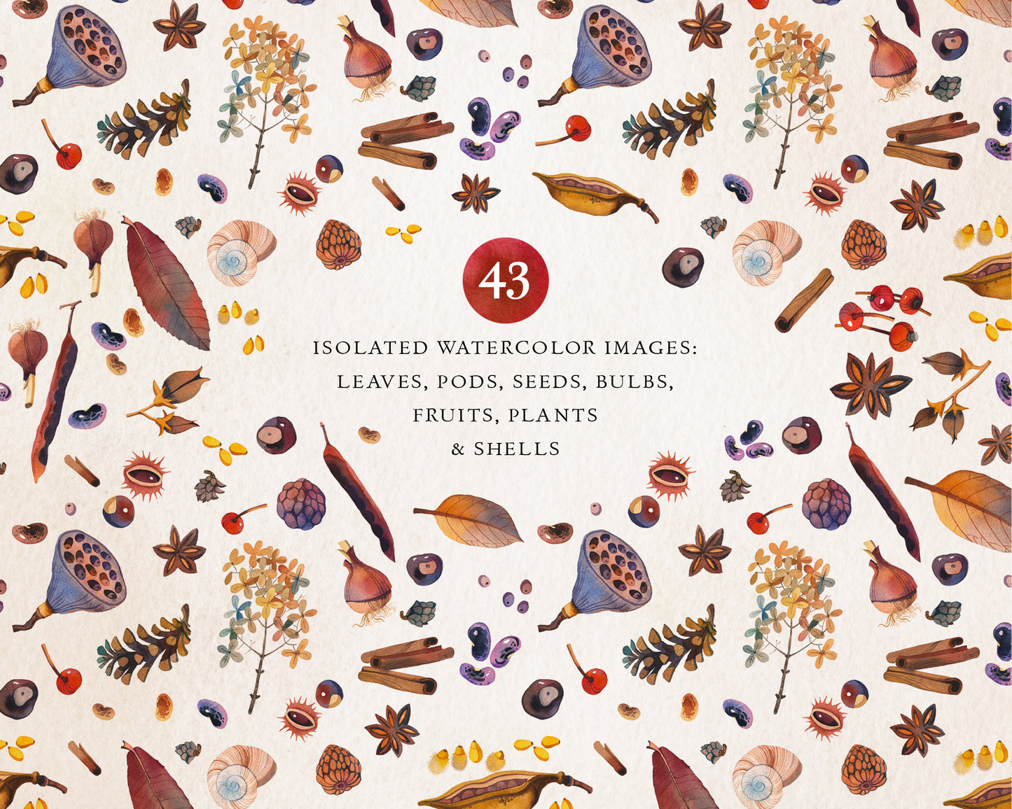 NATURE GIFTS Graphic Collection
