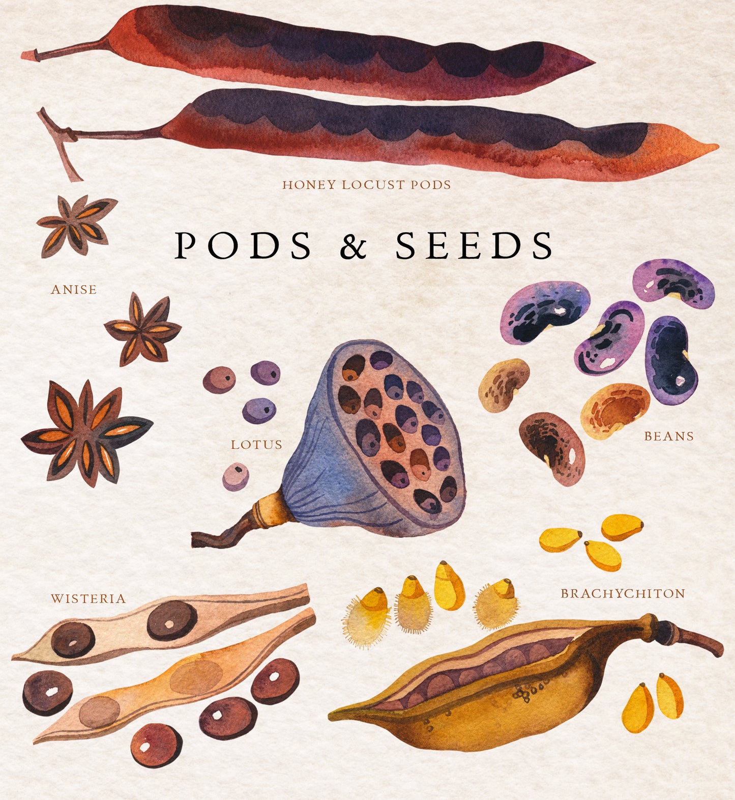 NATURE GIFTS Graphic Collection