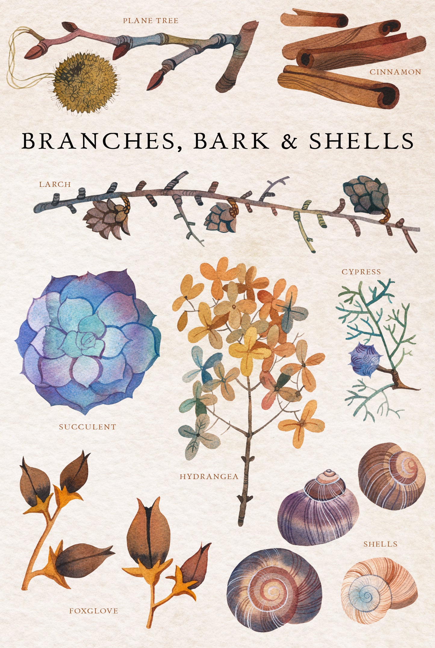 NATURE GIFTS Graphic Collection