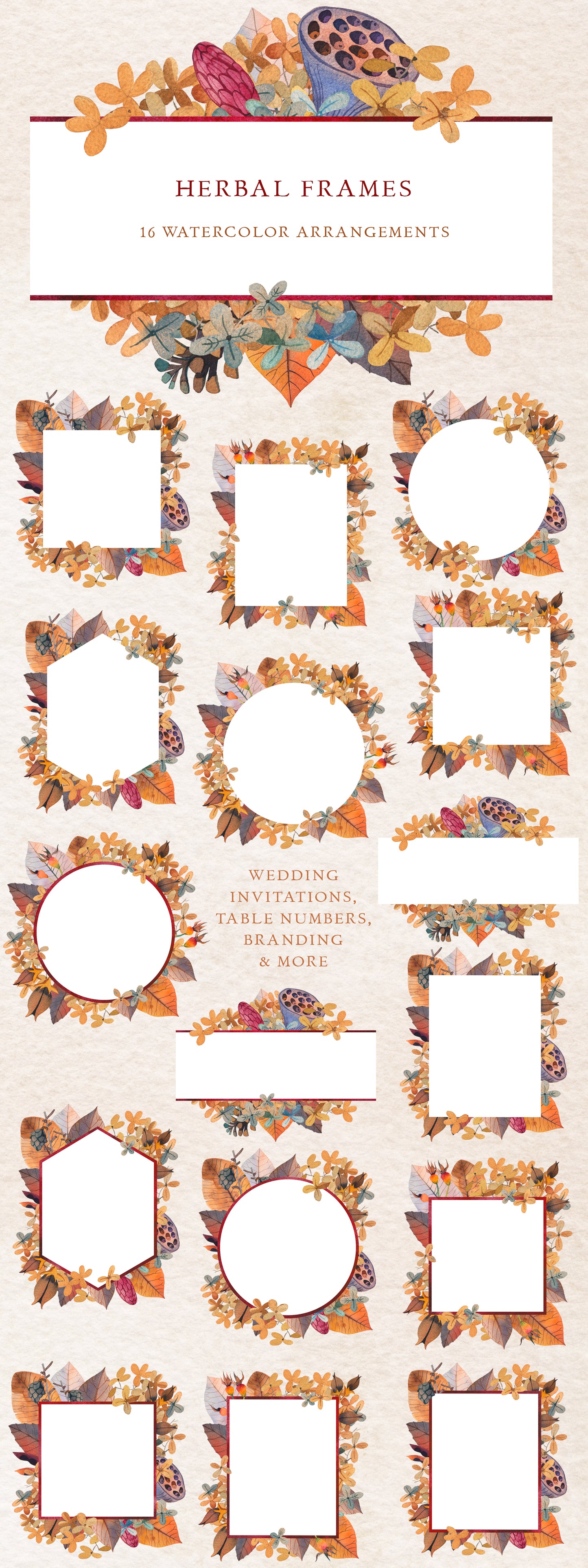 NATURE GIFTS Graphic Collection