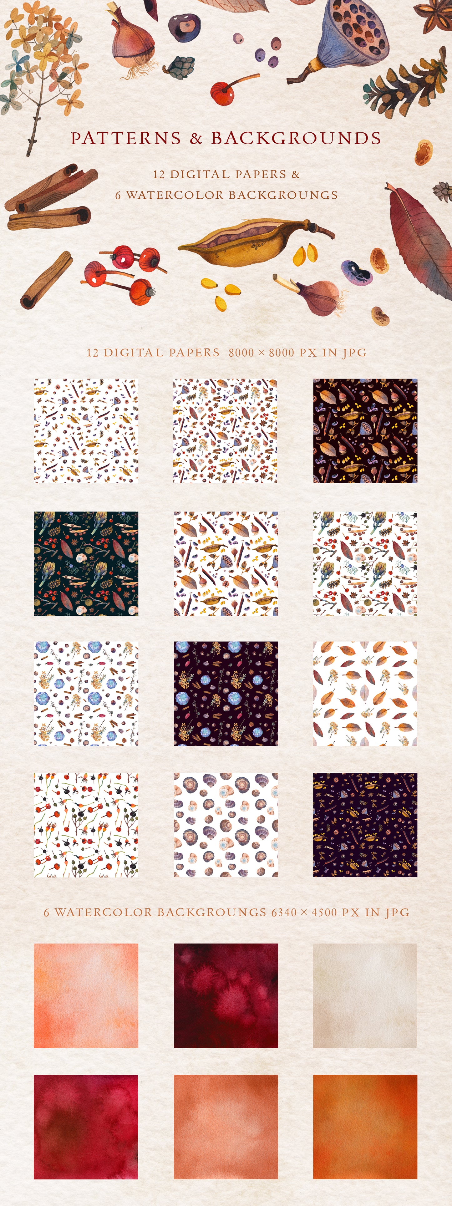 NATURE GIFTS Graphic Collection
