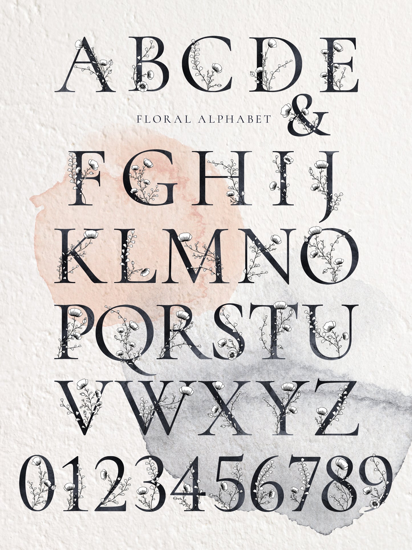 NICETY Alphabet & Graphic Collection