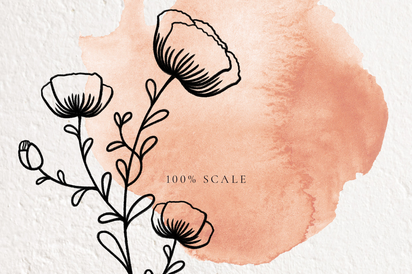 NICETY Alphabet & Graphic Collection
