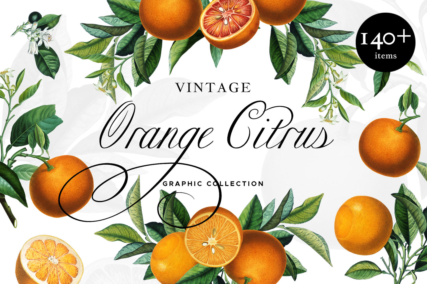 VINTAGE BOTANICAL Graphics Bundle
