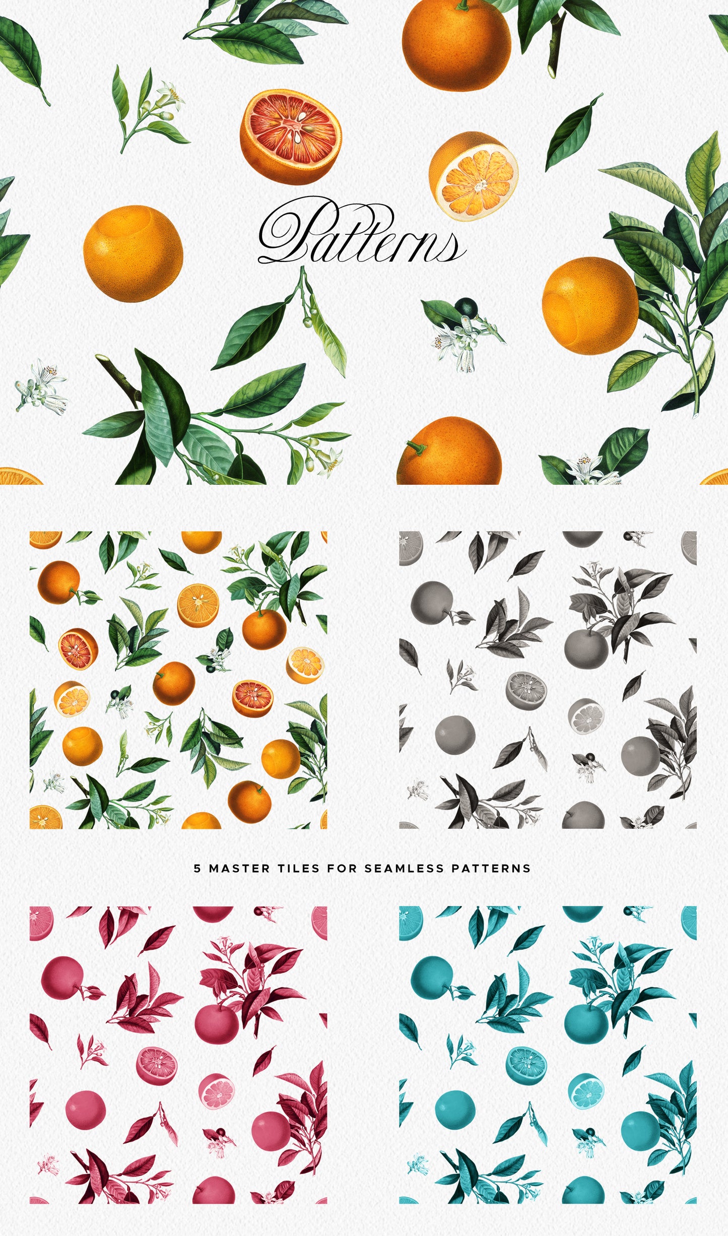 VINTAGE ORANGE CITRUS Grafikkollektion