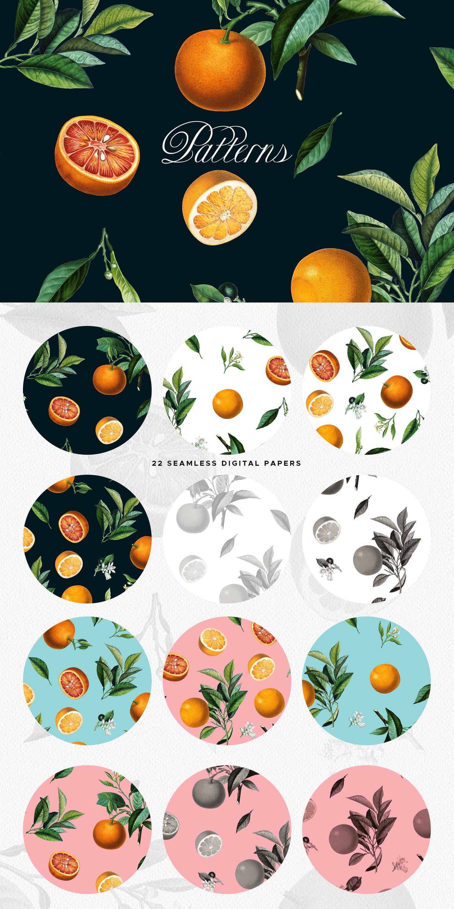 VINTAGE ORANGE CITRUS Grafikkollektion
