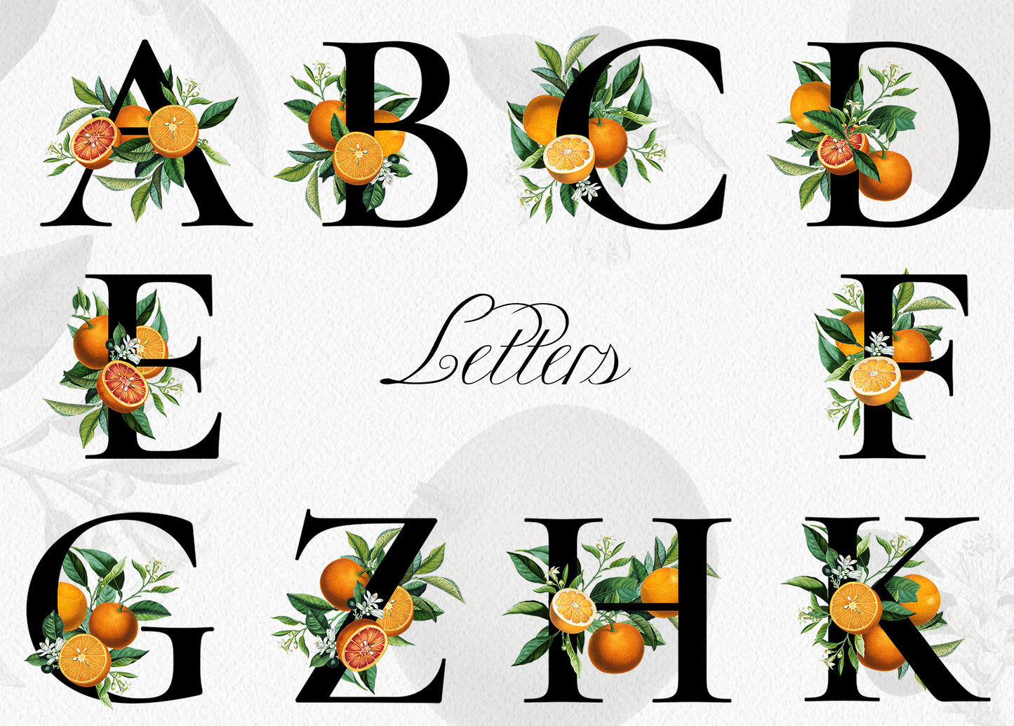 ORANGE Citrus Monogram Alphabet