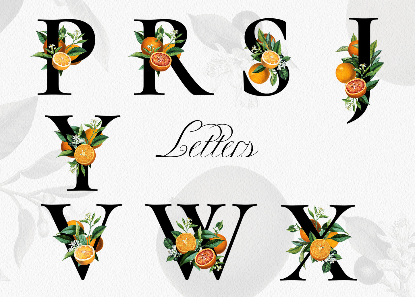 ORANGE Citrus Monogram Alphabet
