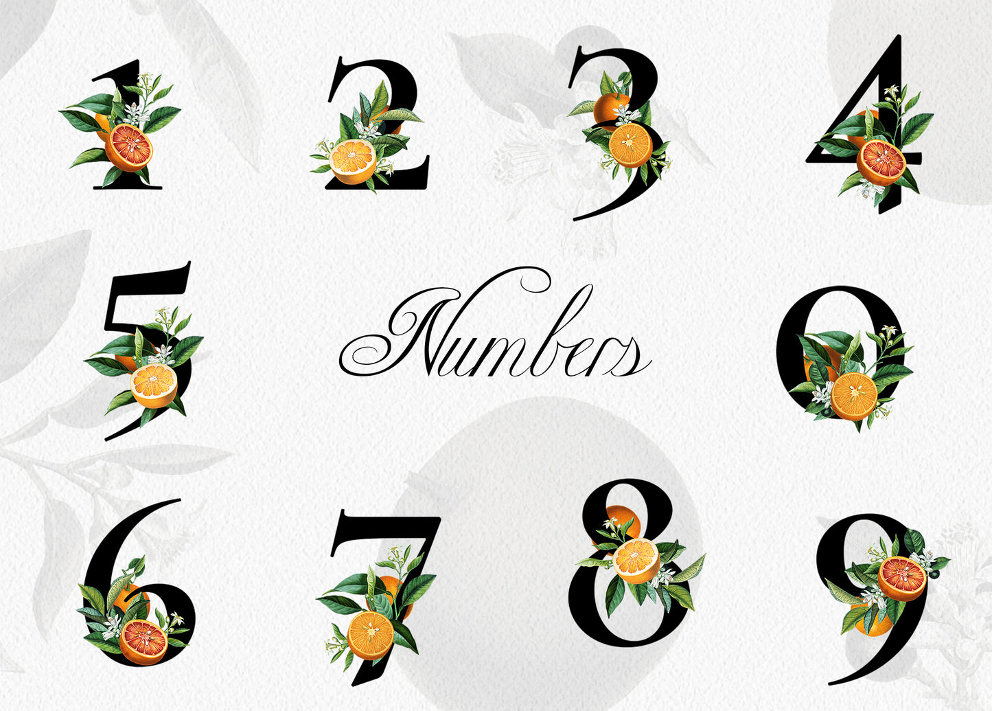 ORANGE Citrus Monogram Alphabet