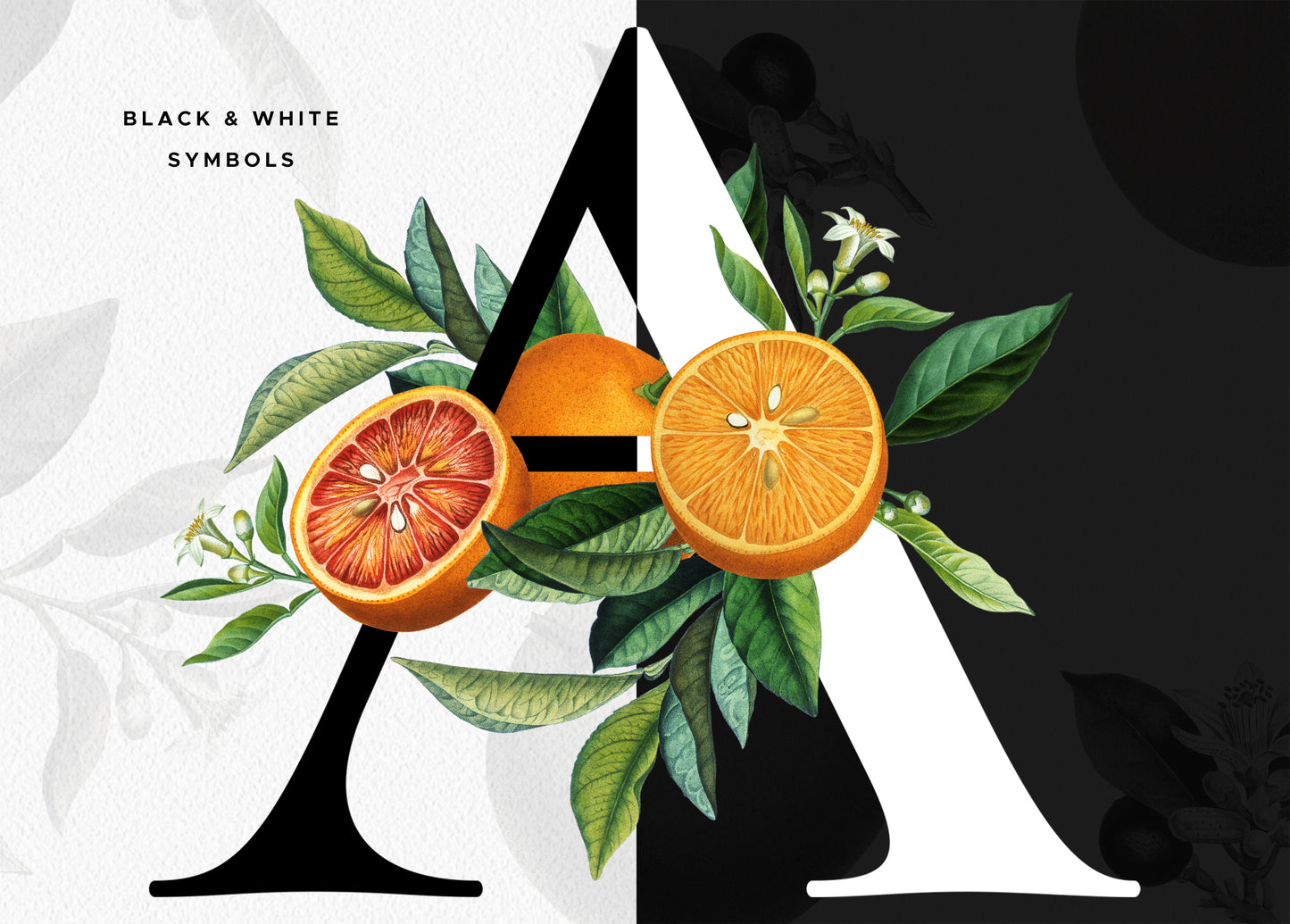 ORANGE Citrus Monogram Alphabet