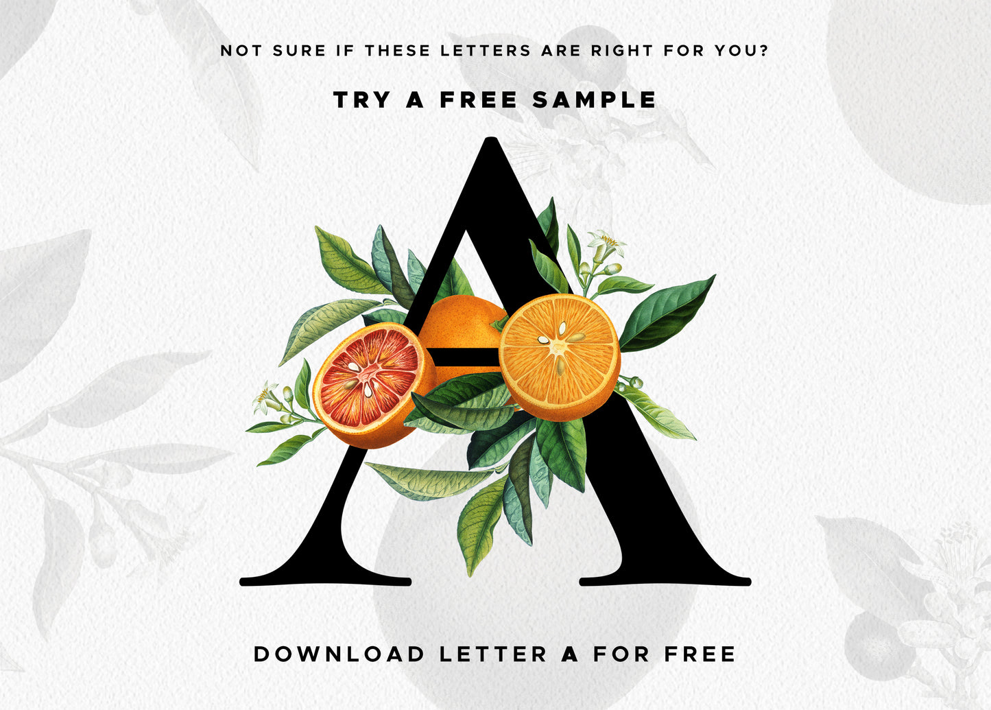 ORANGE Citrus Monogram Alphabet