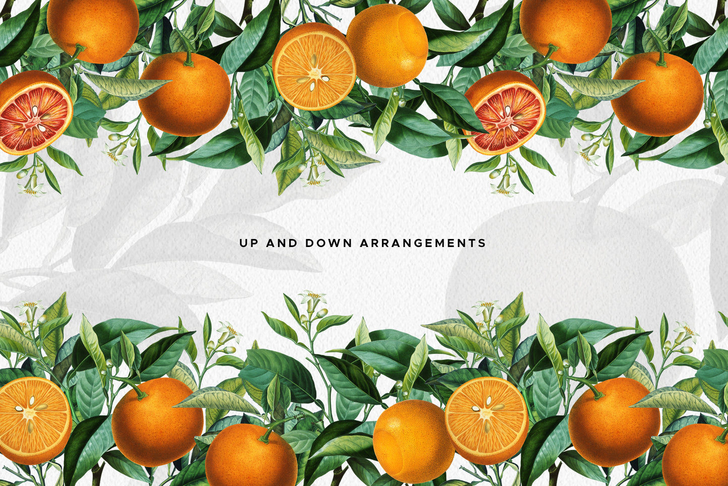 VINTAGE ORANGE CITRUS Grafikkollektion