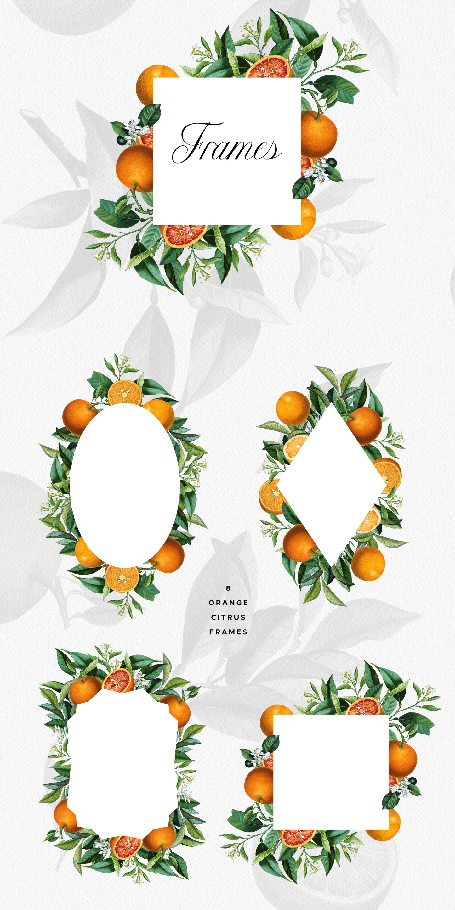 VINTAGE ORANGE CITRUS Grafikkollektion