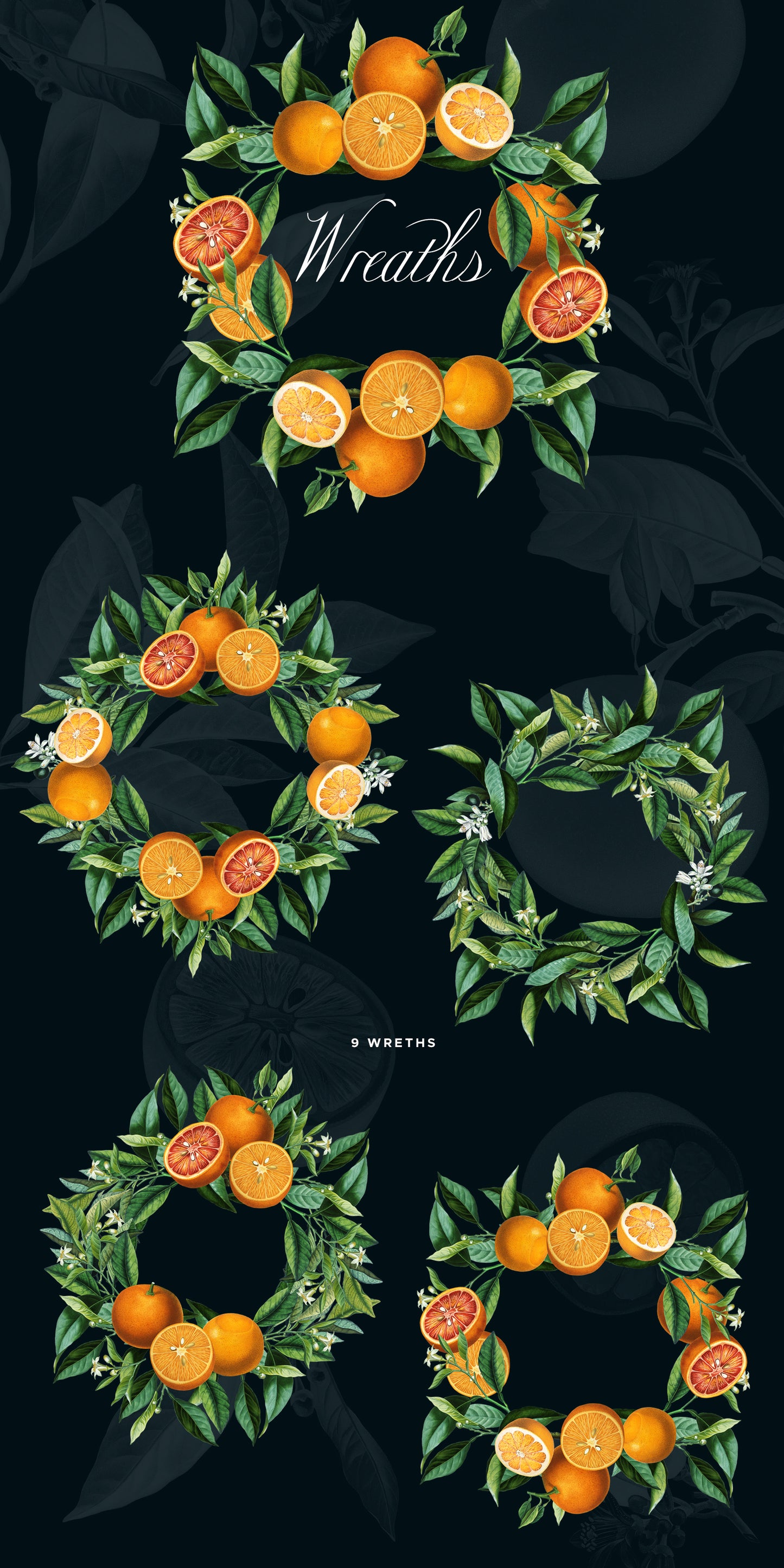 VINTAGE ORANGE CITRUS Grafikkollektion