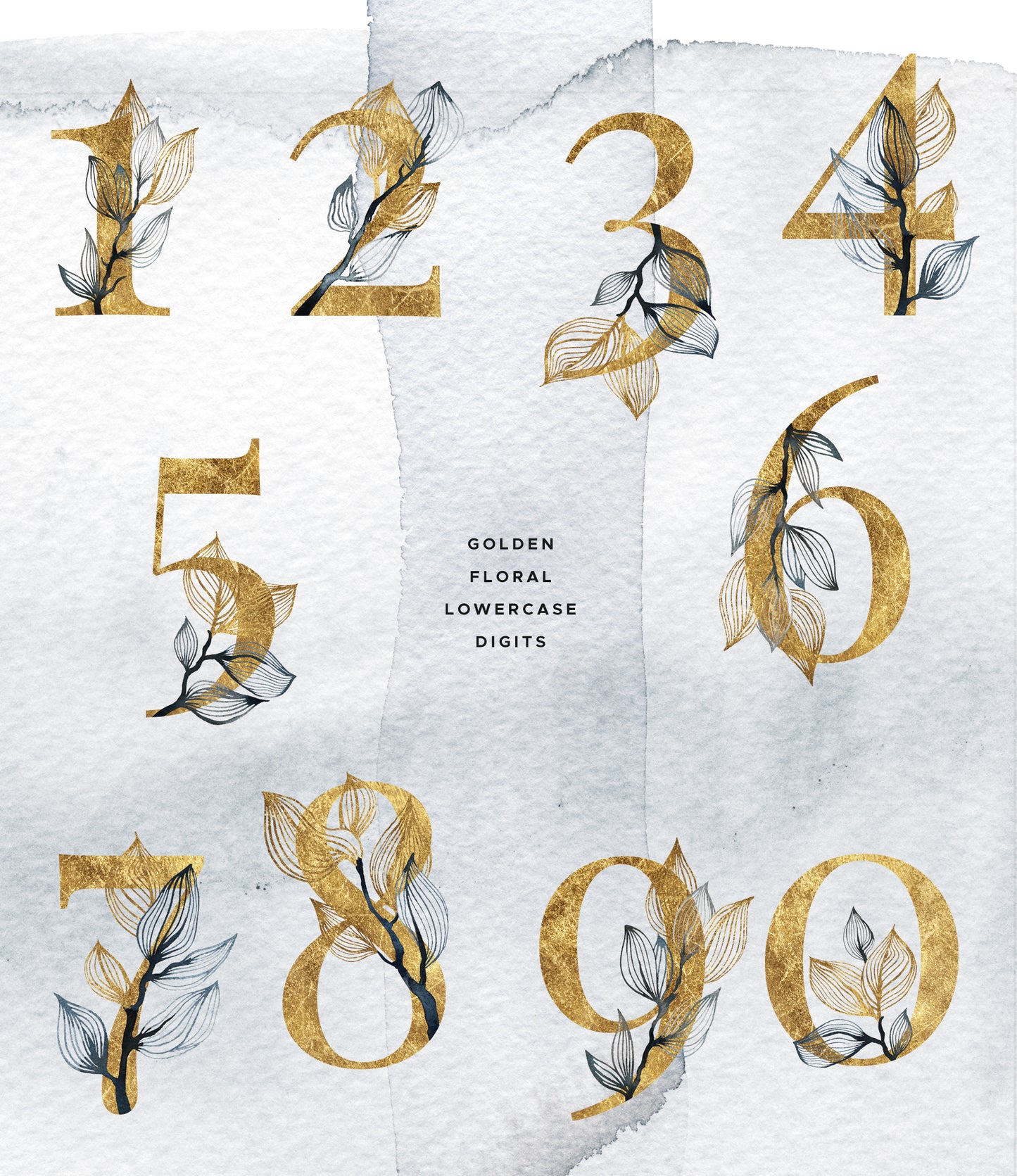 OLA Aquarell-Grafiksammlung