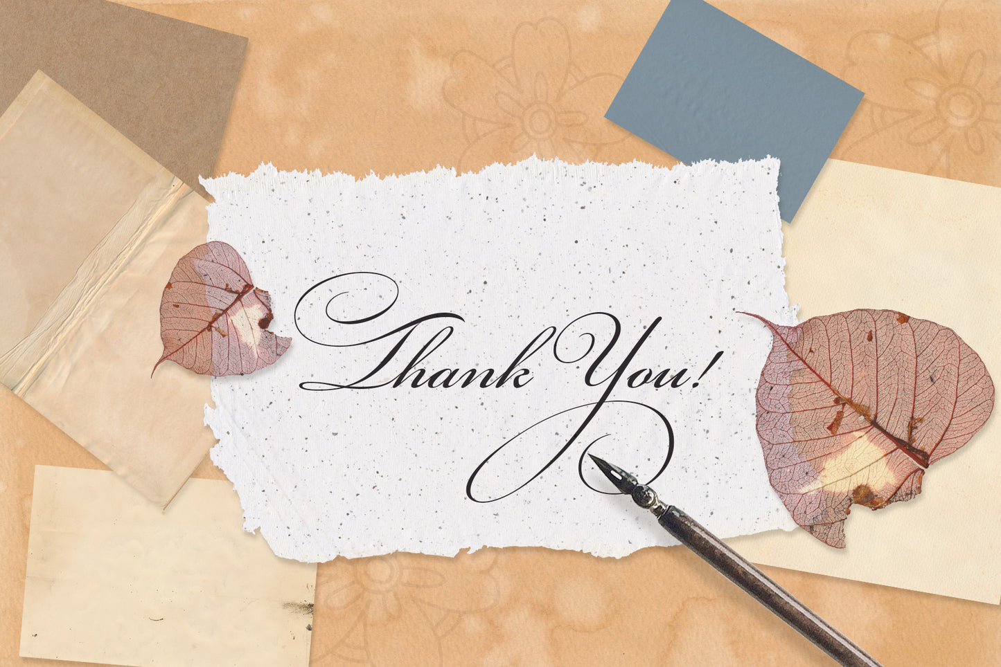 PAPER & CANVAS Texture Backgrounds