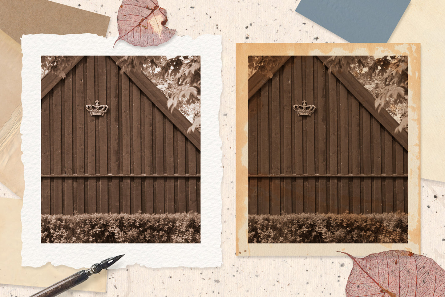 PAPER & CANVAS Texture Backgrounds