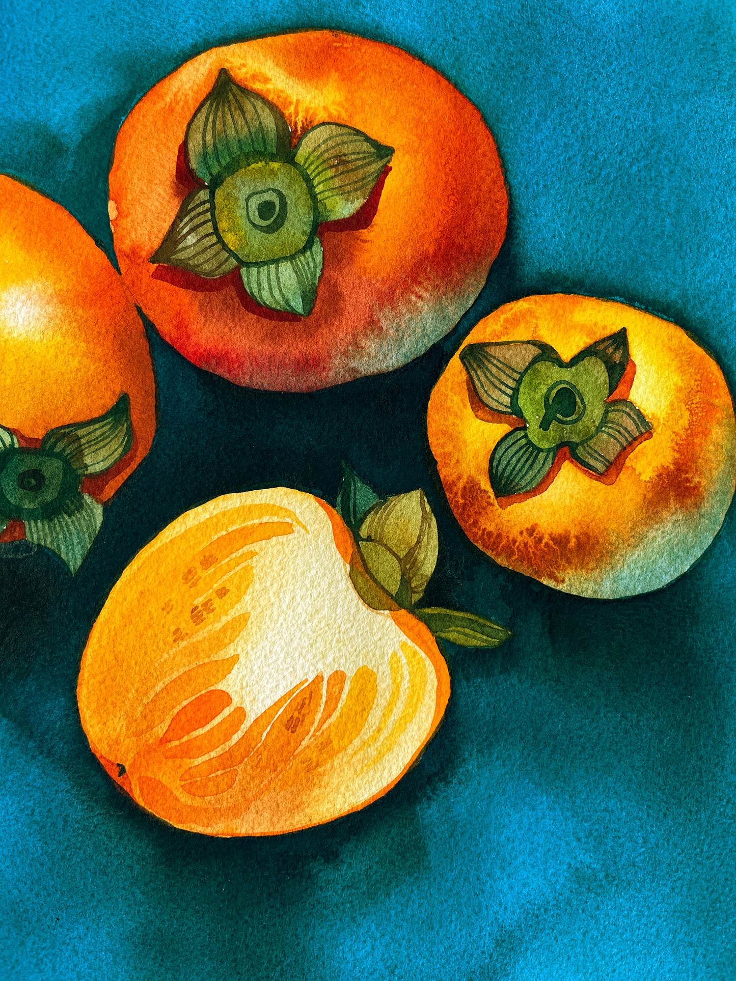 PERSIMMONS Original Watercolor Painting
