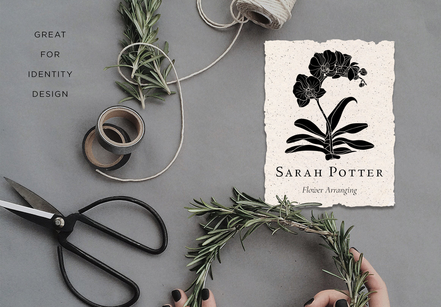 LINE ART & SOLID Vector Illustration Bundle