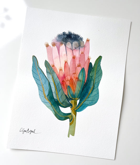 PINK KING PROTEA Original Watercolor Painting