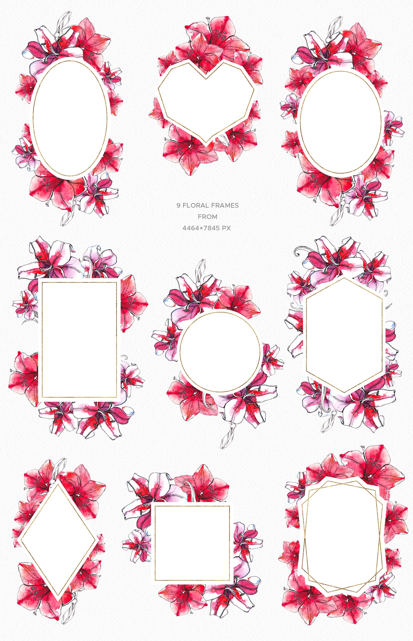 WATERCOLOR RED LILY Graphic Collection
