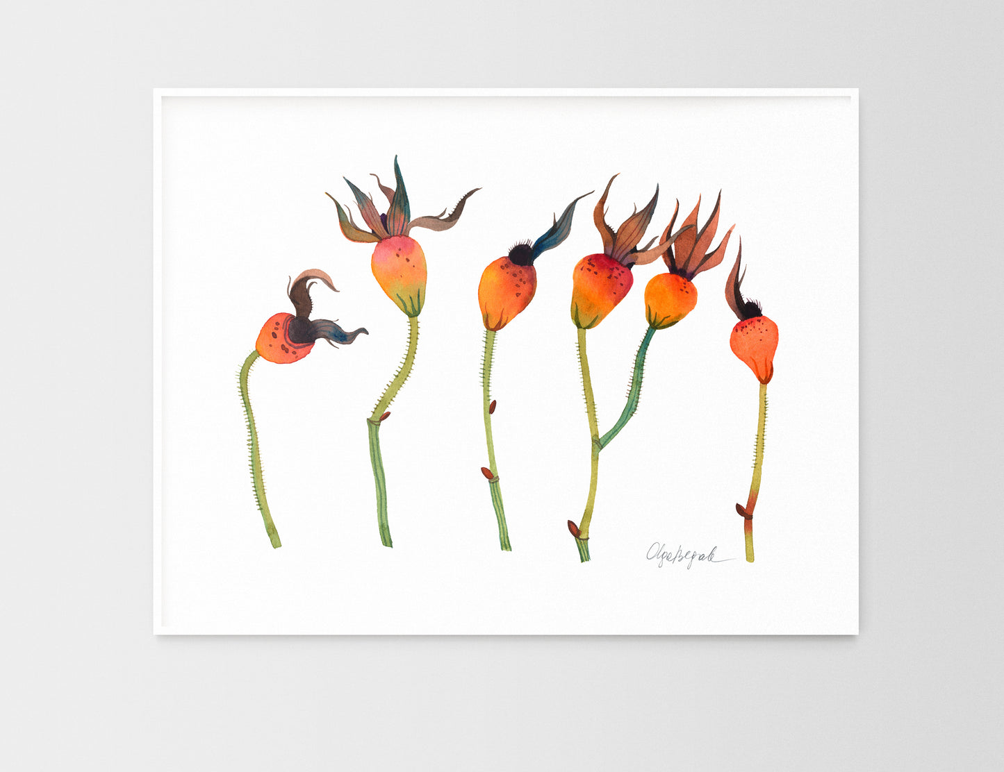 ROSE HIPS Watercolor Painting Giclée Print #W02