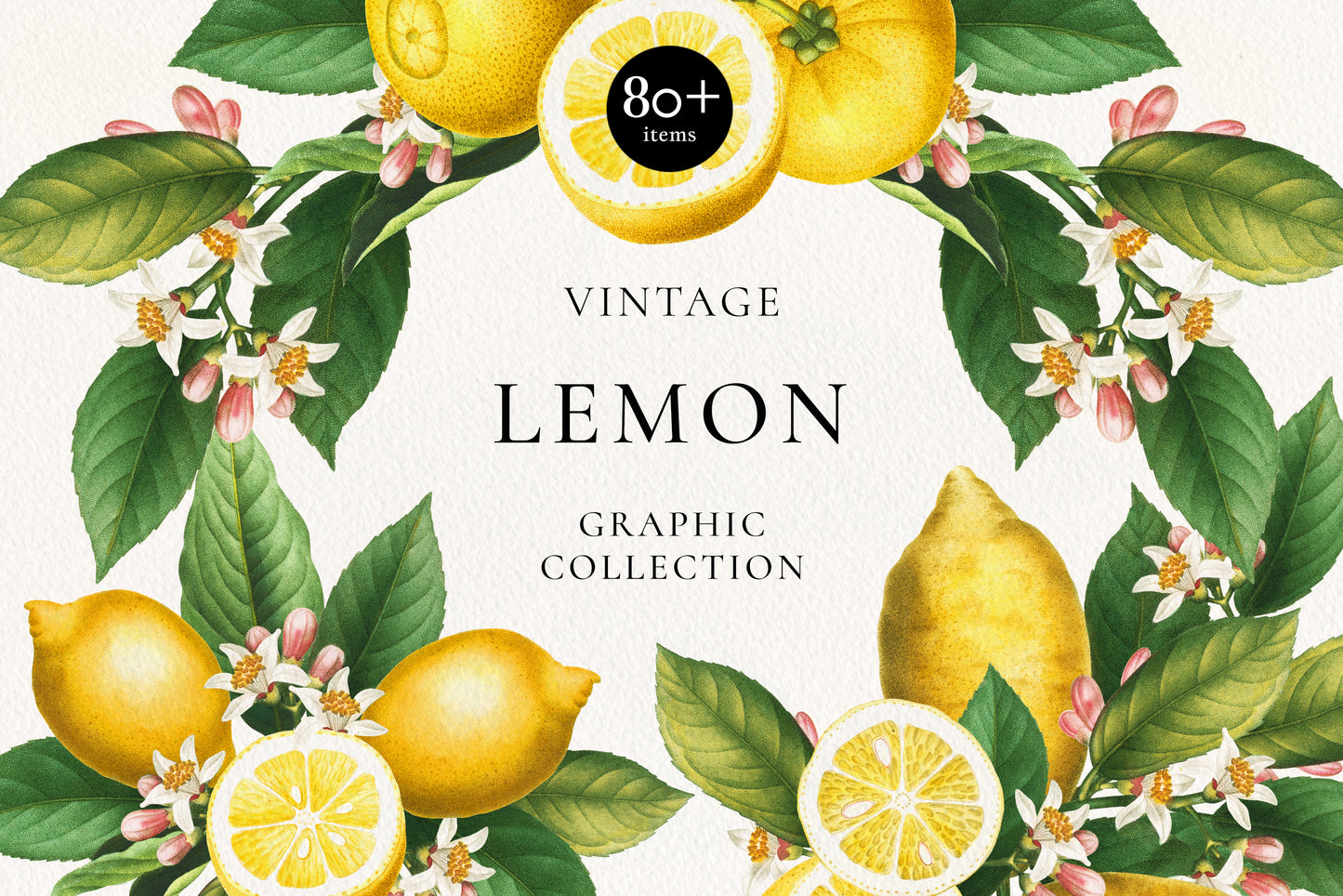 VINTAGE LEMON CITRUS Graphic Collection